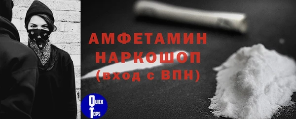 ешки Аркадак