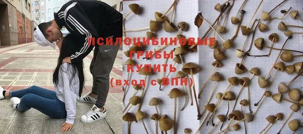 крисы Арсеньев