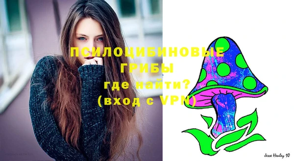 ешки Аркадак