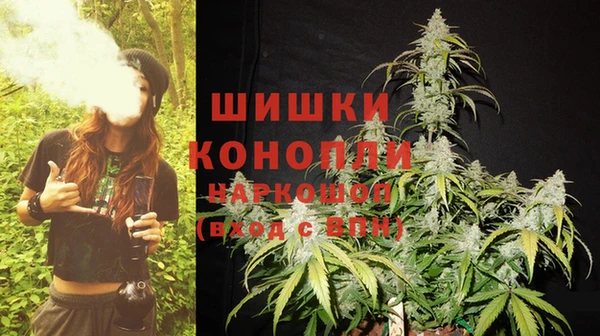 крисы Арсеньев