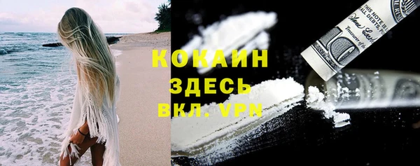 крисы Арсеньев