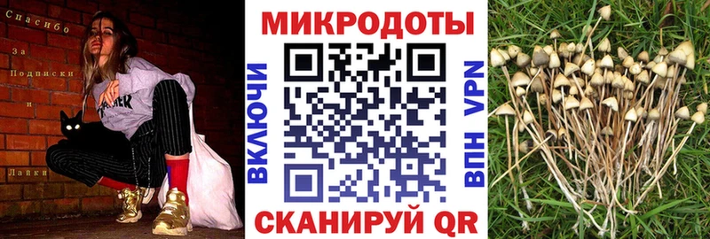 Галлюциногенные грибы MAGIC MUSHROOMS  Верхоянск 